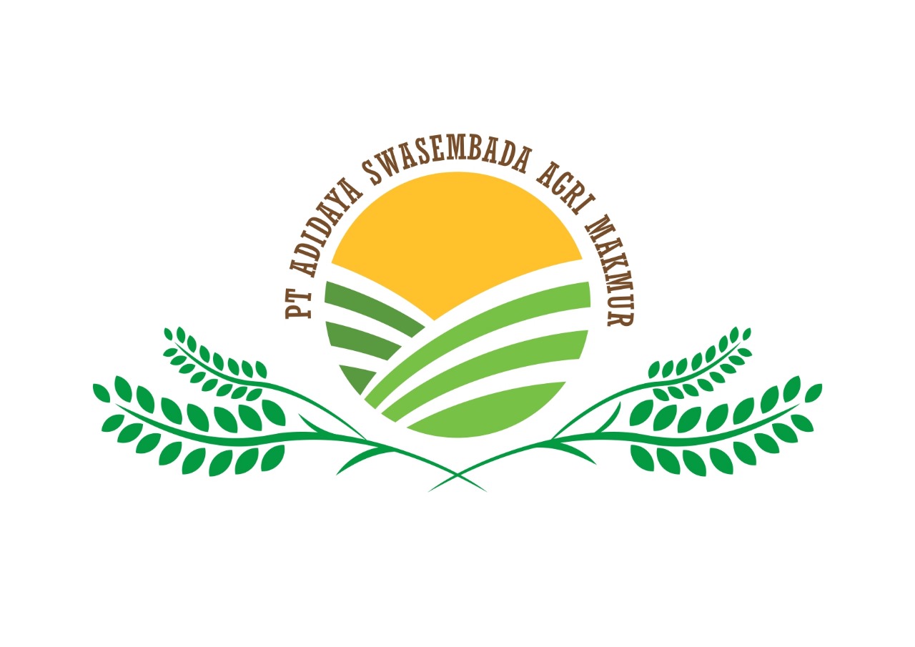 WhatsApp Image 2025-07-07 at 15.37.10