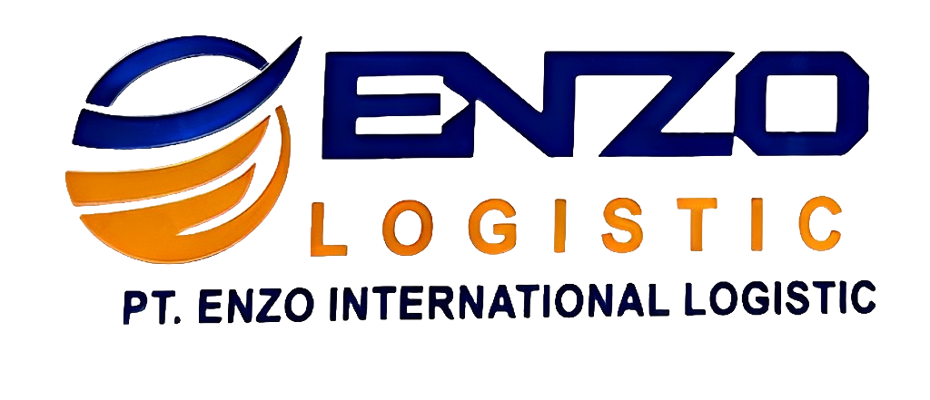 logo enzo tnp background